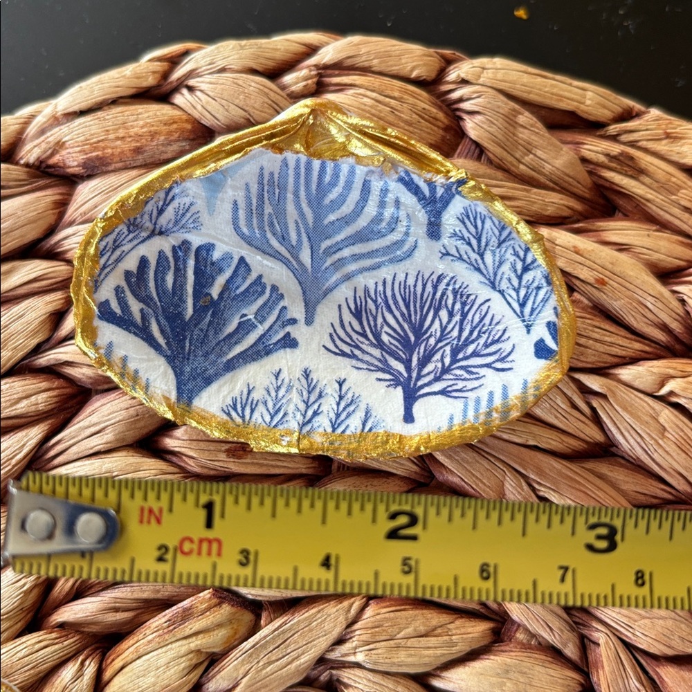 Sea shell jewelry holder: blue and white